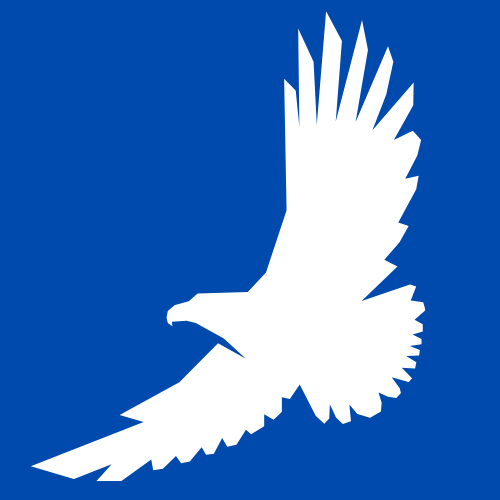 Company logo of flying eagle